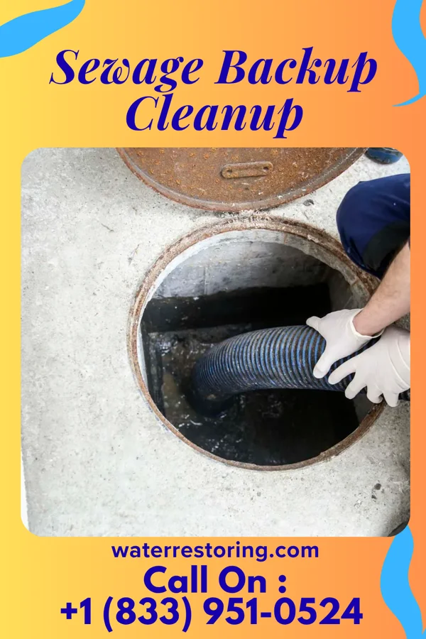 Sewage Backup Cleanup in Gordon, GA