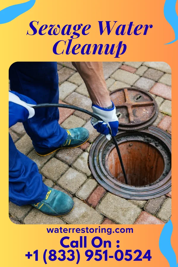 Sewage Water Cleanup in Gordon, GA
